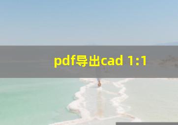 pdf导出cad 1:1